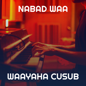 Nabad Waa