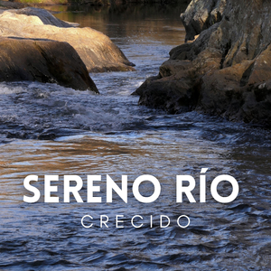 Salpicaduras De Río En El Bosque
