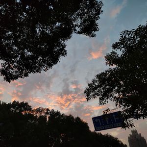 what the f**king life