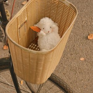 要是你在我身边就好了