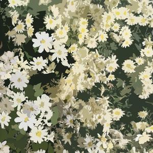 月华如练秋空静