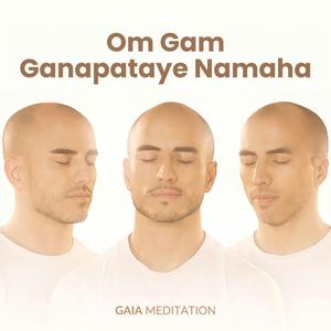 Om Gam Ganapataye Namaha