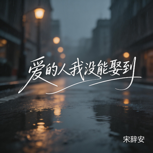爱的人我没能娶到（抖音飙升版）