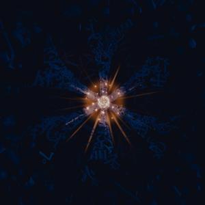 トーチライト (feat. kinu)