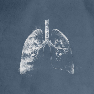 płuca
