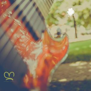 Carry (feat. Kitoko Sound, Kanda Beats, Jazzy Rhodes & Afro Zen)