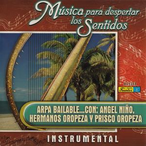 Caracoles de Colores