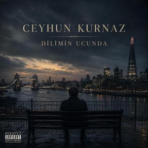 Dilimin ucunda