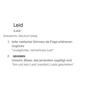 Leid (feat. Sad Sash)