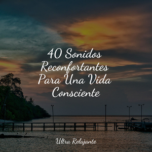 Al Otro Lado Del Cosmos