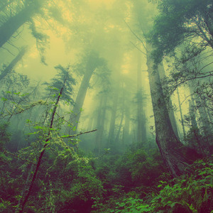 명상 (마음치료)