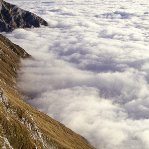 拥抱着你的滋味