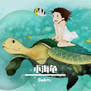 我不是海龟（Demo）