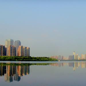 孙燕姿-极美（烧葵 remix）