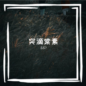 院又逝蓉纺挝腥吨