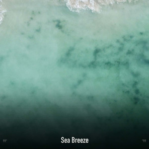 Solitude of the Seashore