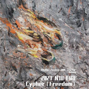 2021 NJU FIRE Cypher（Freedom）
