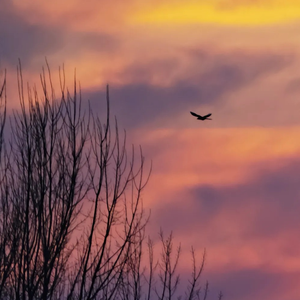 人生旅途的风景