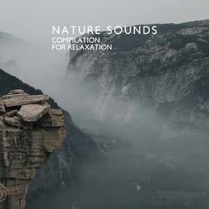 Rain Sounds for Deep Meditation