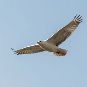 破风而上坚定本心