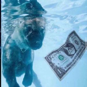 Turnt To A Pack (feat. 3nxdo)