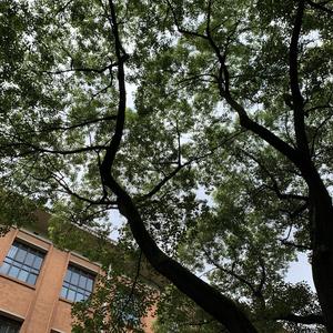 负重一万斤长大