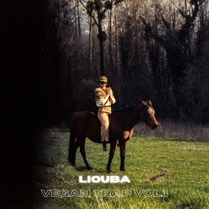 Shmoke (Extended Version)