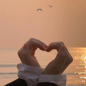 My Heart Will Go On（抖音版）（翻自 Celine Dion）