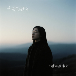 怕了敷衍怕了承诺