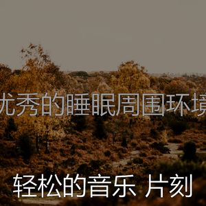一尘不染睡眠印象数