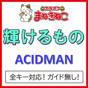 輝けるもの（カラオケ）[Originally Performed By ACIDMAN]