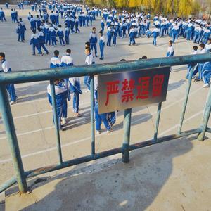 写给一位爱穿衬衫的鲸鱼