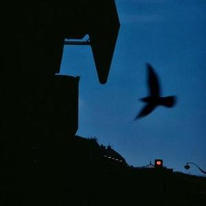 Awaking