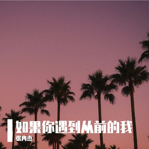 如果你遇到从前的我