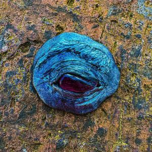 Stoneblind