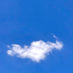 不负如来不负卿