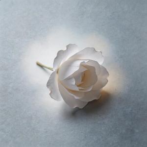 就让岁月开成一朵花（动感版）
