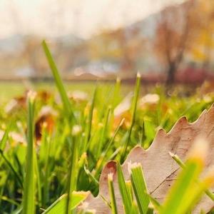 在这个深秋季节