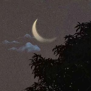 那天我在等风来