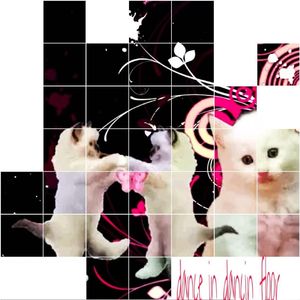 舞池蹦 舞池跳（prod.mirr）