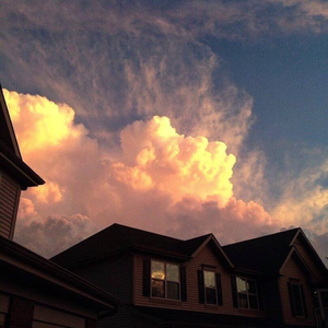 多情种（Cover：胡杨林）