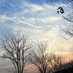 你错过的风景我都替你记录下来了