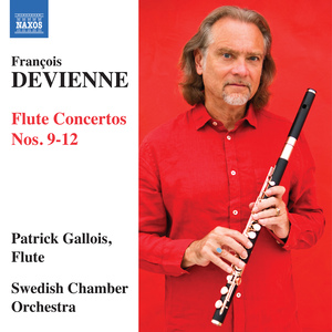 Flute Concerto No. 9 in E Minor: I. Allegro
