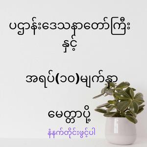 ပဌာန်းဒေသနာတော်ကြီး နှင့် အရပ်(၁၀)မျက်နှာမေတ္တာပို့