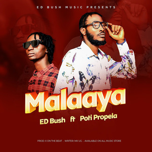 Malaaya