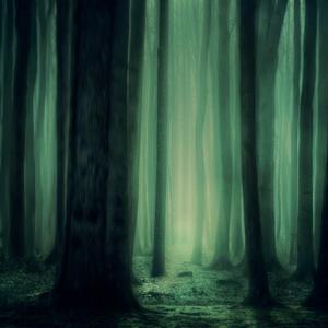 「FREE BEAT」梦幻森林