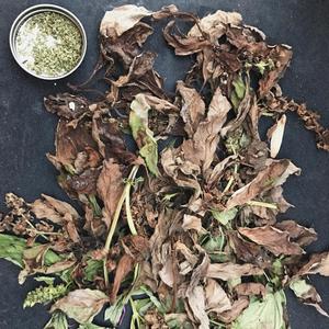 The Last Rights of Jonathan Still