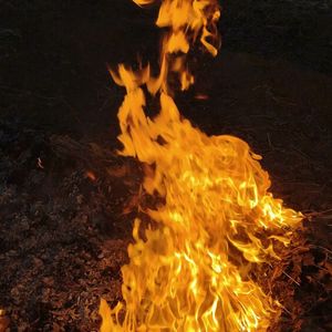 霓虹律动