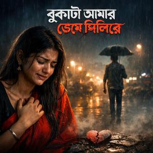 স্বপ্নগুলো কাইরা নিলিরে
