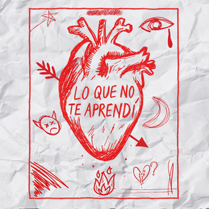 Lo Que No Te Aprendí